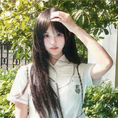 血玫瑰